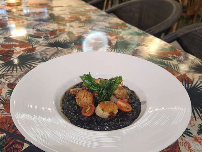 SCALLOP SQUID INK 